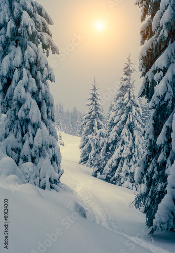 Amazing winter landscape © Leonid Tit