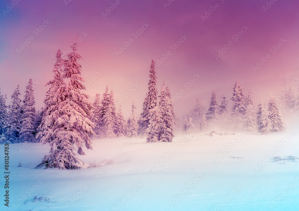 Fototapeta premium Amazing winter landscape