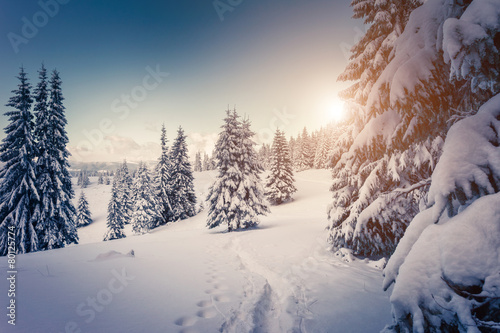 Amazing winter landscape © Leonid Tit