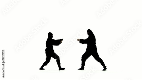 Masked ninjas fight with swords.  Only one of them can be victorious.