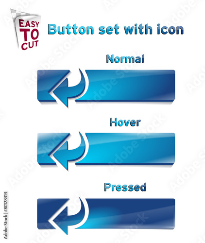 Button_Set_with_icon_1_211