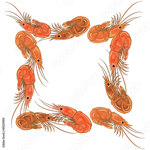 Frame made from prepared shrimps on white background.