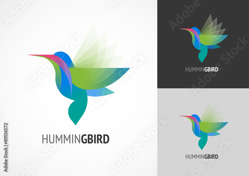 Tropical bird - humming vector icon