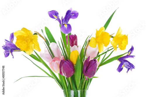 Beautiful spring flowers isolated on white © Africa Studio