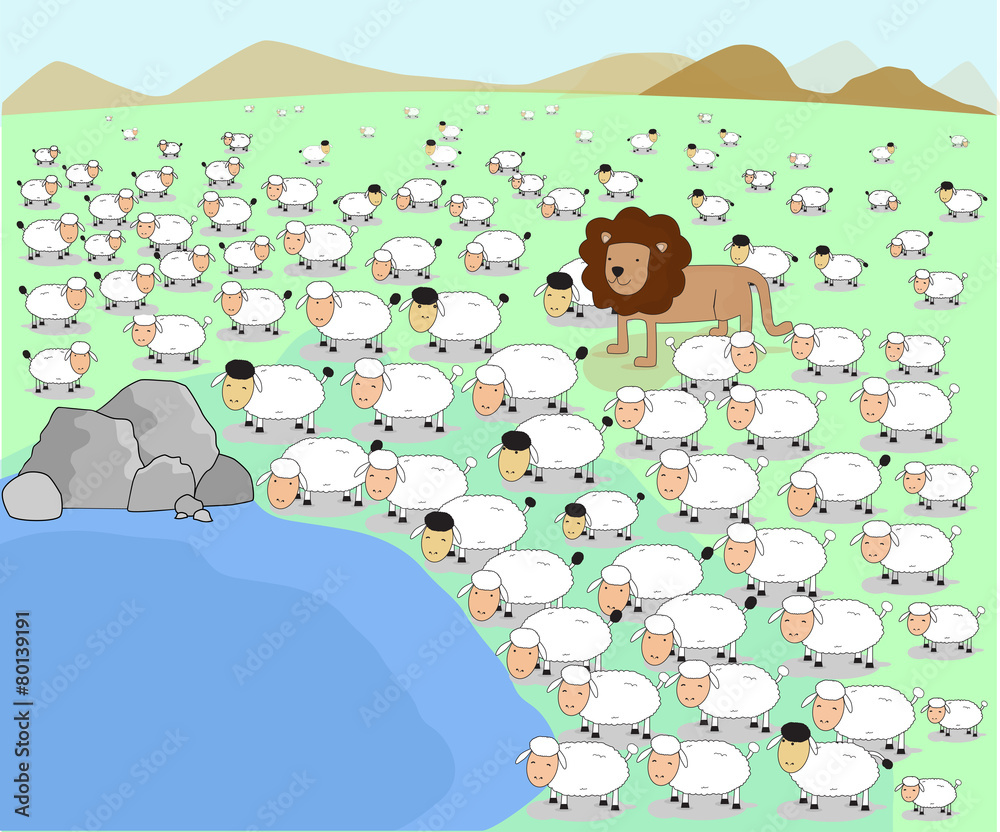 Fototapeta vector illustrator animal lion herd sheep lamb pond concept