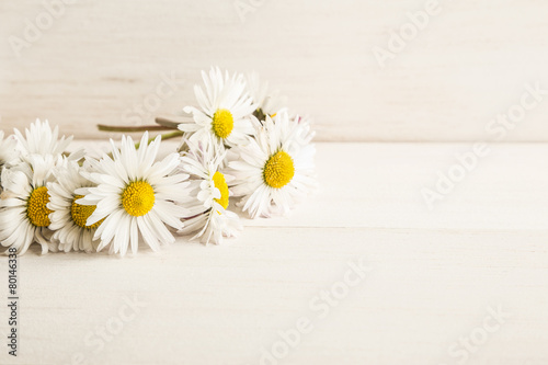 daisy flowers on wooden surface