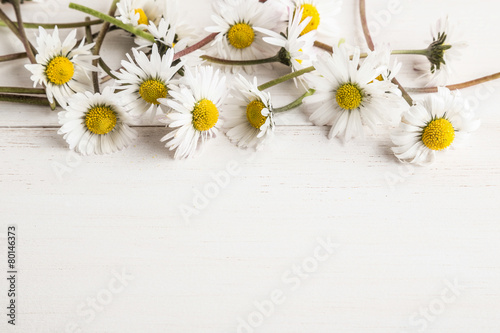 daisy flowers on wooden surface © berna_namoglu