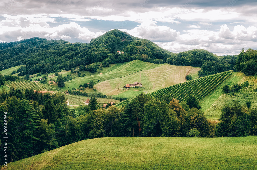 Landscape in Southern Styria