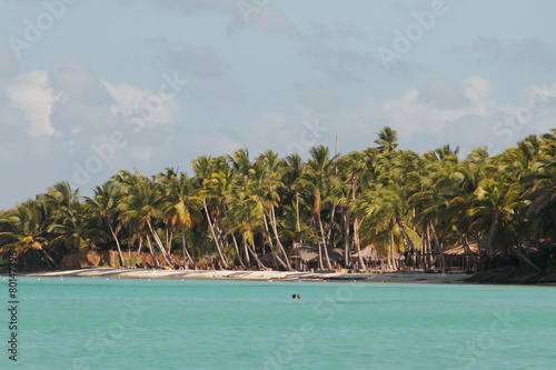 Tropical beach. Palmilla, Dominican republic photo