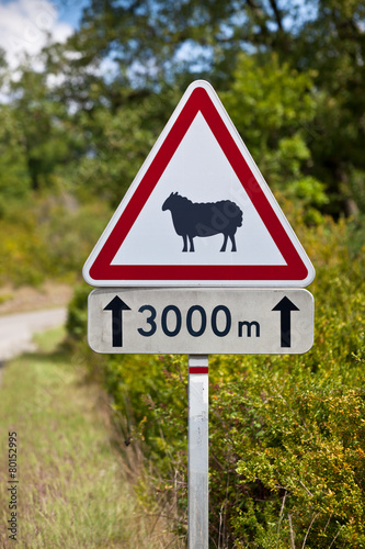 Traffic sign warning of sheep on the road