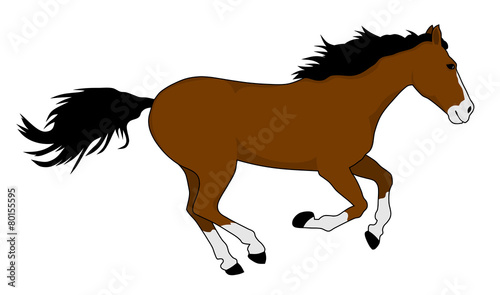 Horse