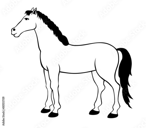 Horse