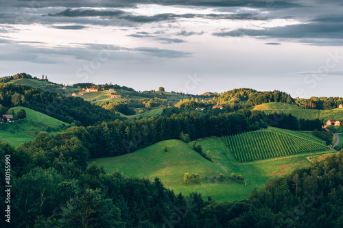 Hills of the Southern Styria Wine Trail