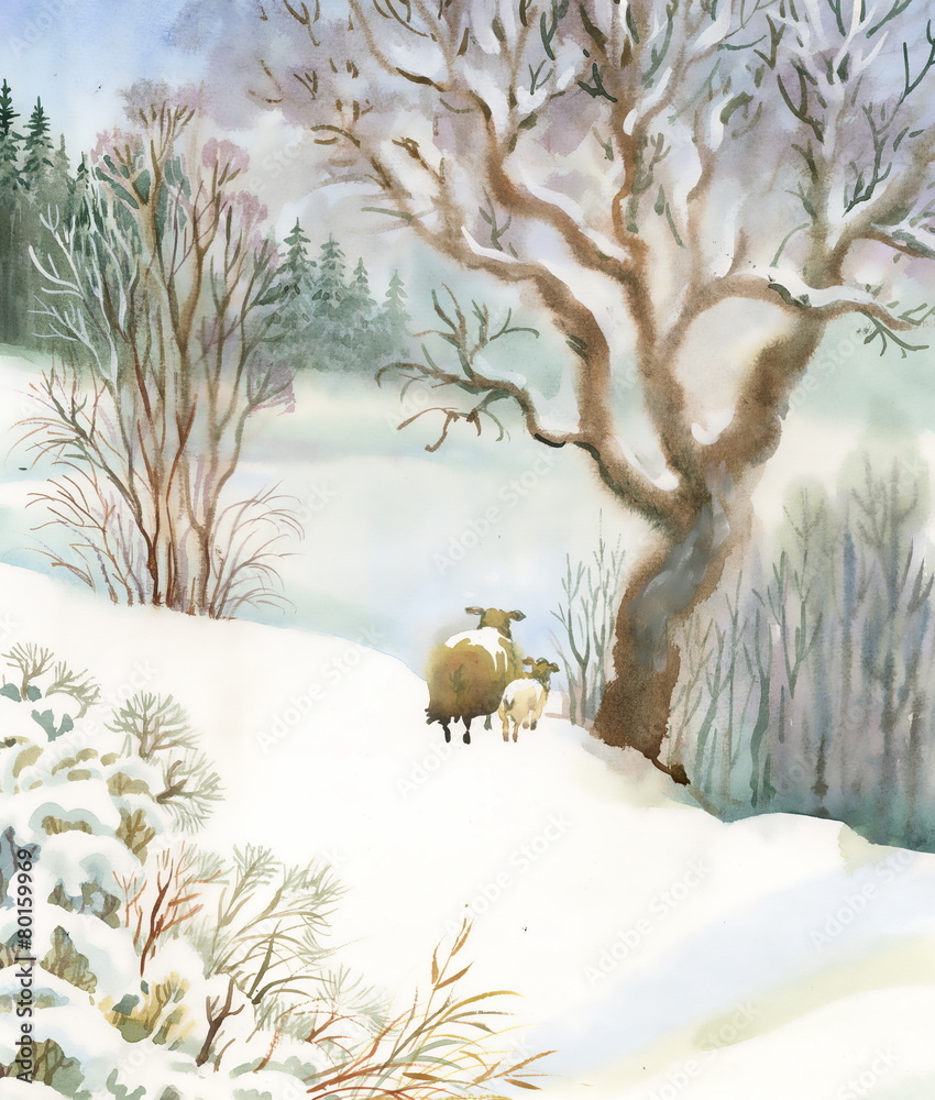 Fototapeta premium Watercolor winter landscape with sheeps