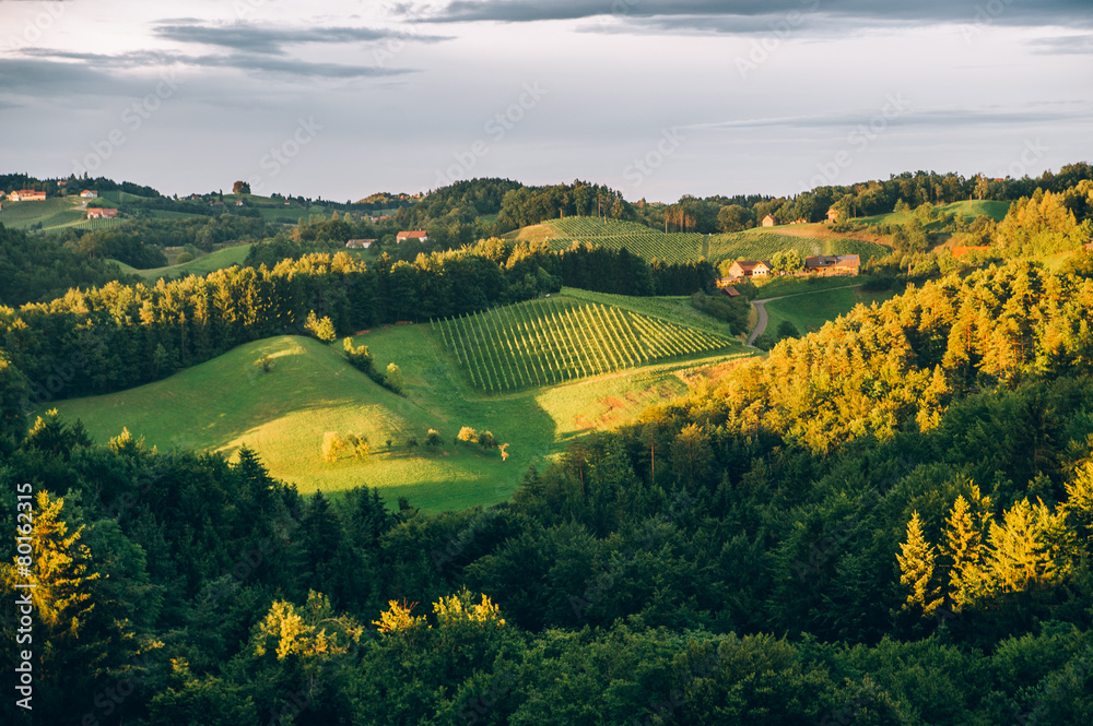 Summer Landscape in Southern Styria
