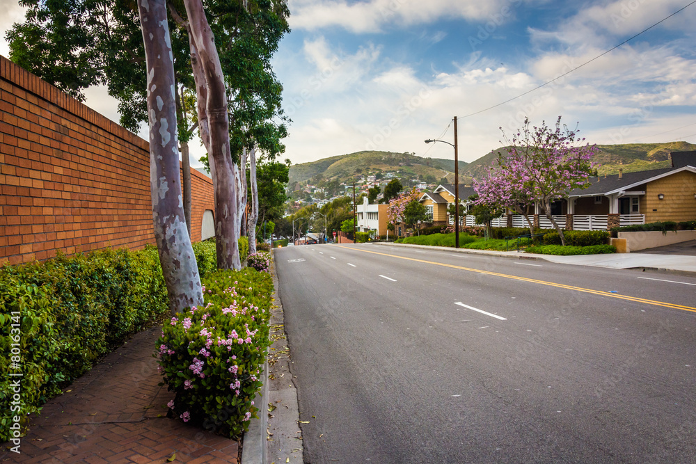 Colorful trees and flowers along Glenneyre Street, in Laguna Bea