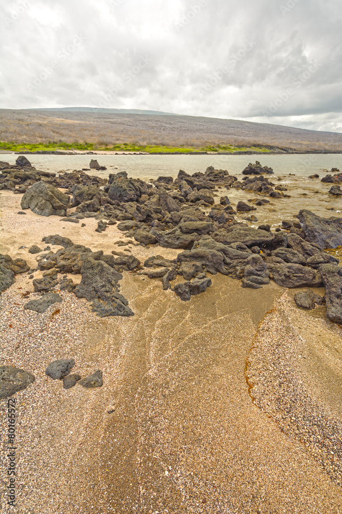 Sandy Beach and Rocks in the Galapagos Sandy Beach and Rocks in the Galapagos