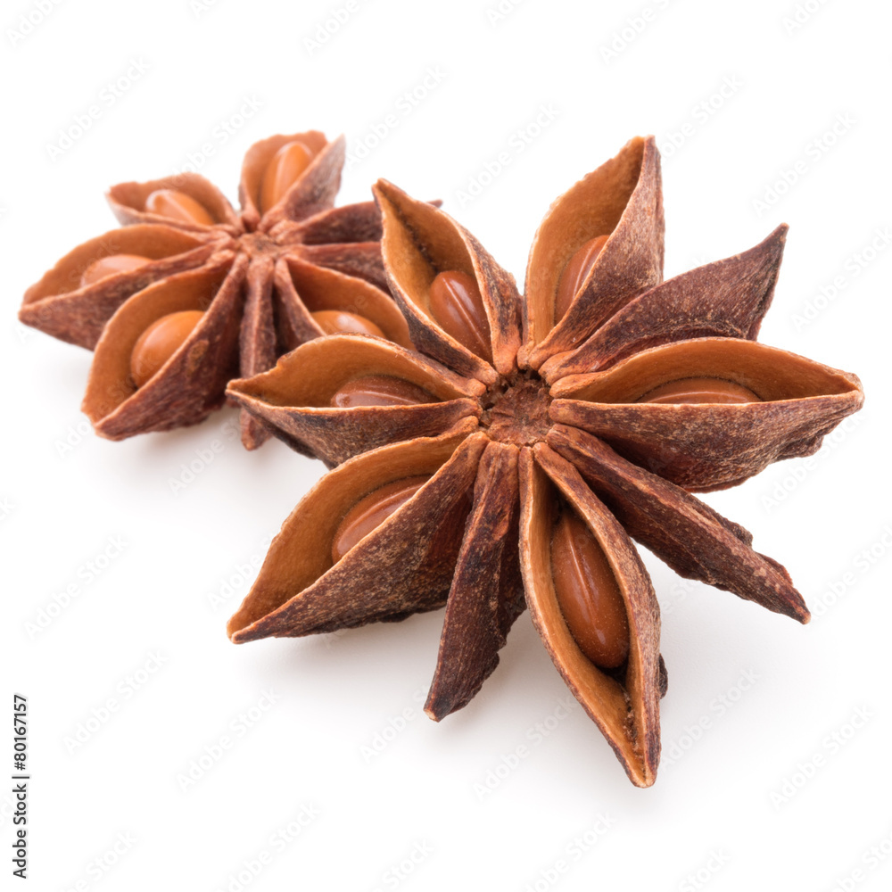 Star anise spice fruits and seeds isolated on white background c Star anise spice fruits and seeds isolated on white background c
