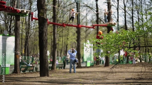 Wallpaper Mural Boy descends from platform at tree on rope in climbing park Torontodigital.ca