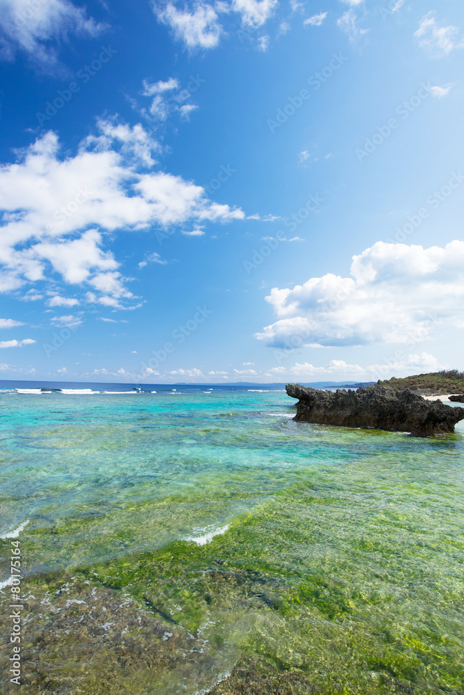 Fototapeta premium 沖縄県今帰仁村の海