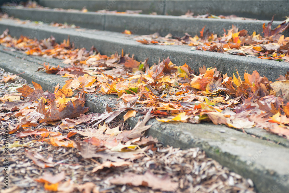 Long stone steps covered with fall leaves