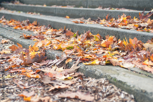 Long stone steps covered with fall leaves