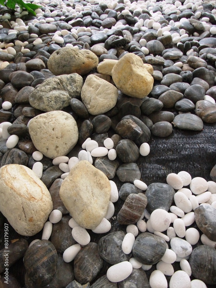 Various size of pebble stones Texture Background Various size of pebble stones Texture Background