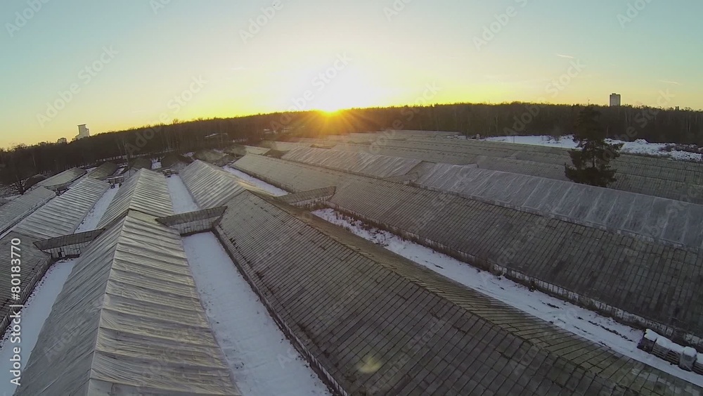 Many long greenhouses near forest during sunset Many long greenhouses near forest during sunset