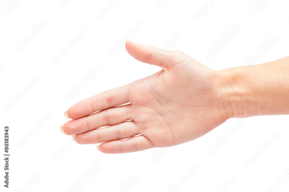 Two hands isolated on a white background