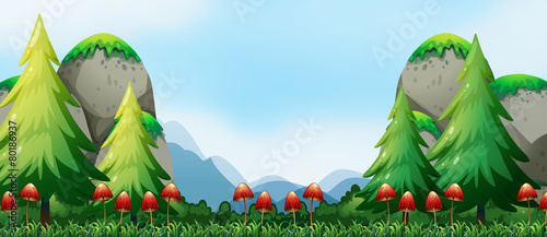 Mushroom and field