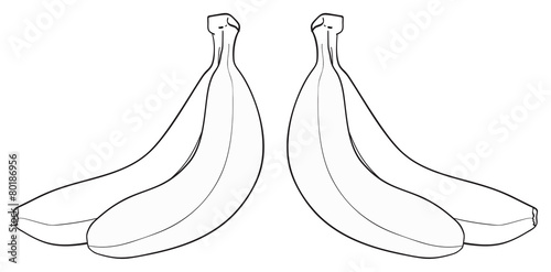 Delightful garden - Bunch of two bananas