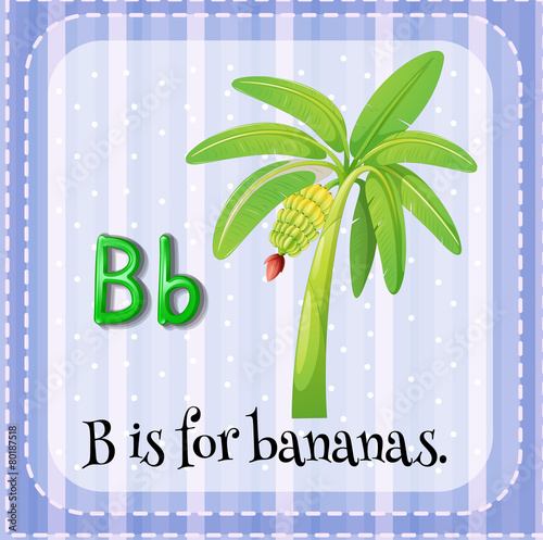 Letter B
