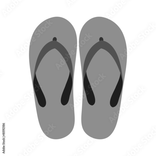 Vector Slippers
