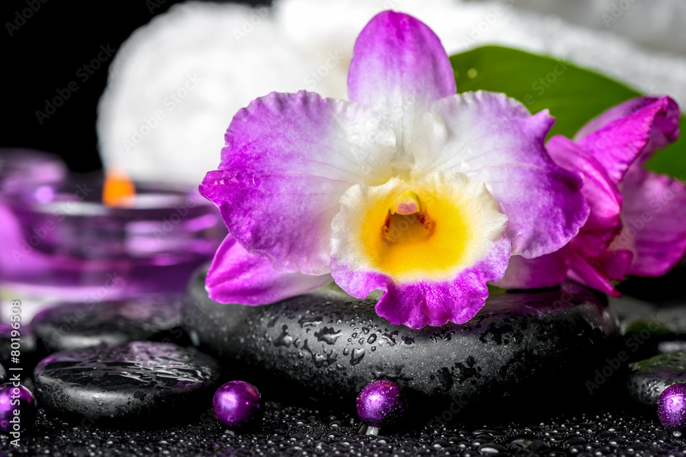 spa background of orchid dendrobium, green leaf Calla lily, purp spa background of orchid dendrobium, green leaf Calla lily, purp