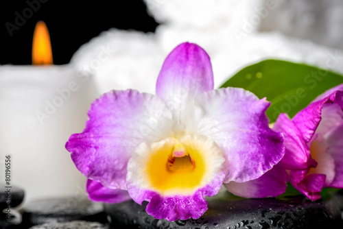 closeup of spa still life purple orchid dendrobium, candle and