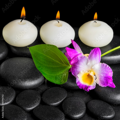 spa background of row white candles  orchid flower dendrobium an