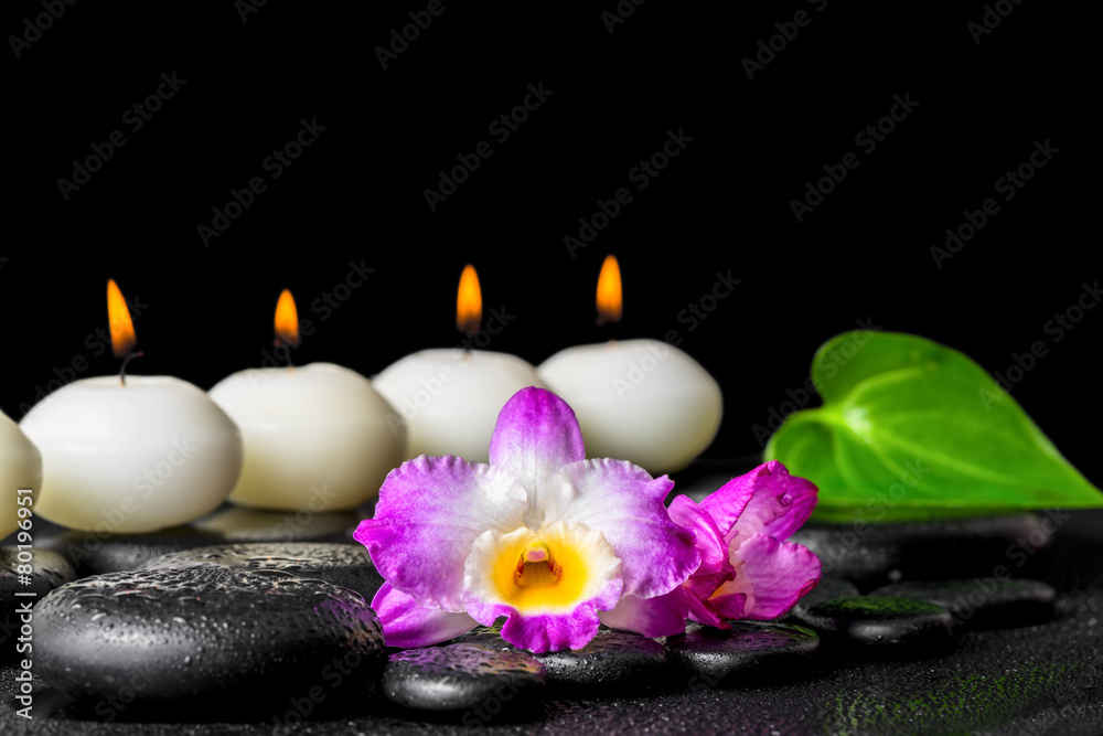 spa concept of row white candles, orchid flower dendrobium and g