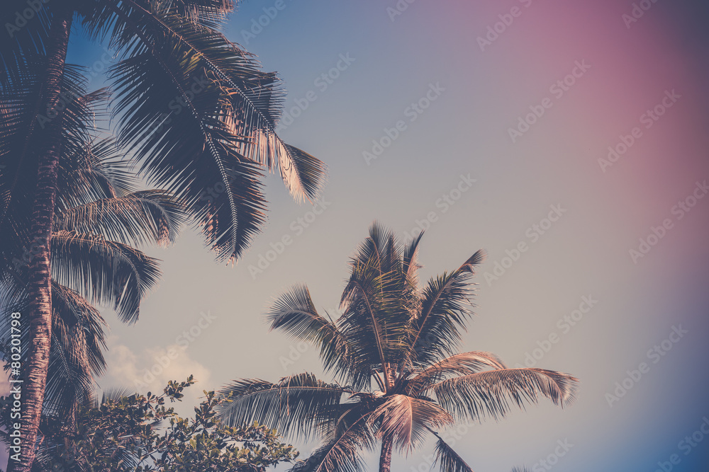 High palms on a tropical beach at Mahe island Seychelles