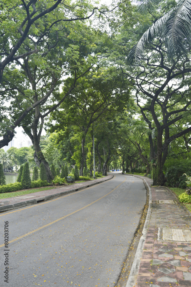 Winding Road through a City Park