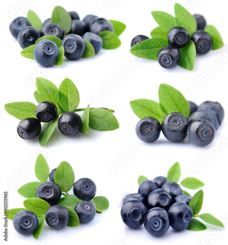 Slika na platnu Blueberries