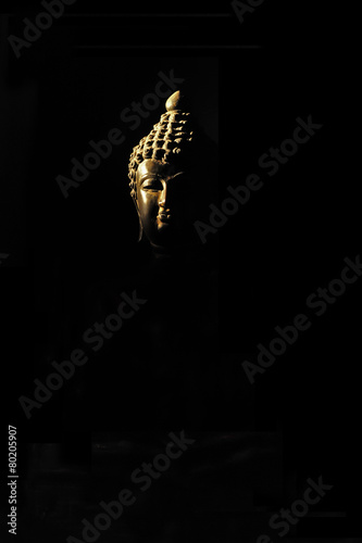 Light of Buddha image intelligence  hidden in the dark desires © swasdee