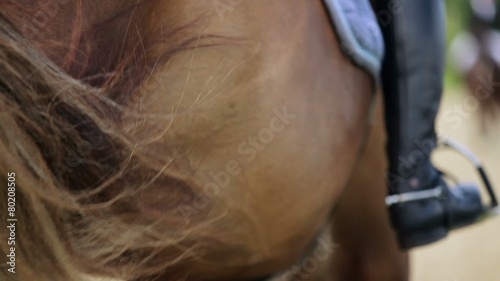 Horseman leg in boot at stirrup on horse which walks away photo