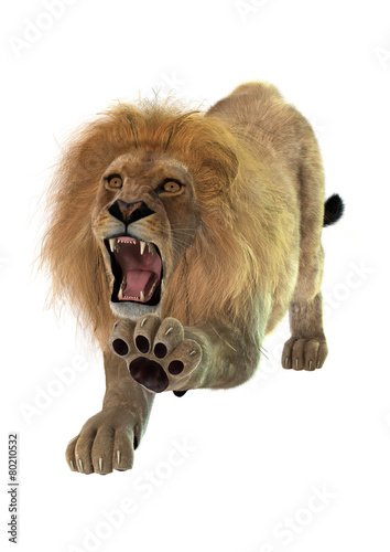 Fototapeta Naklejka Na Ścianę i Meble -  Lion