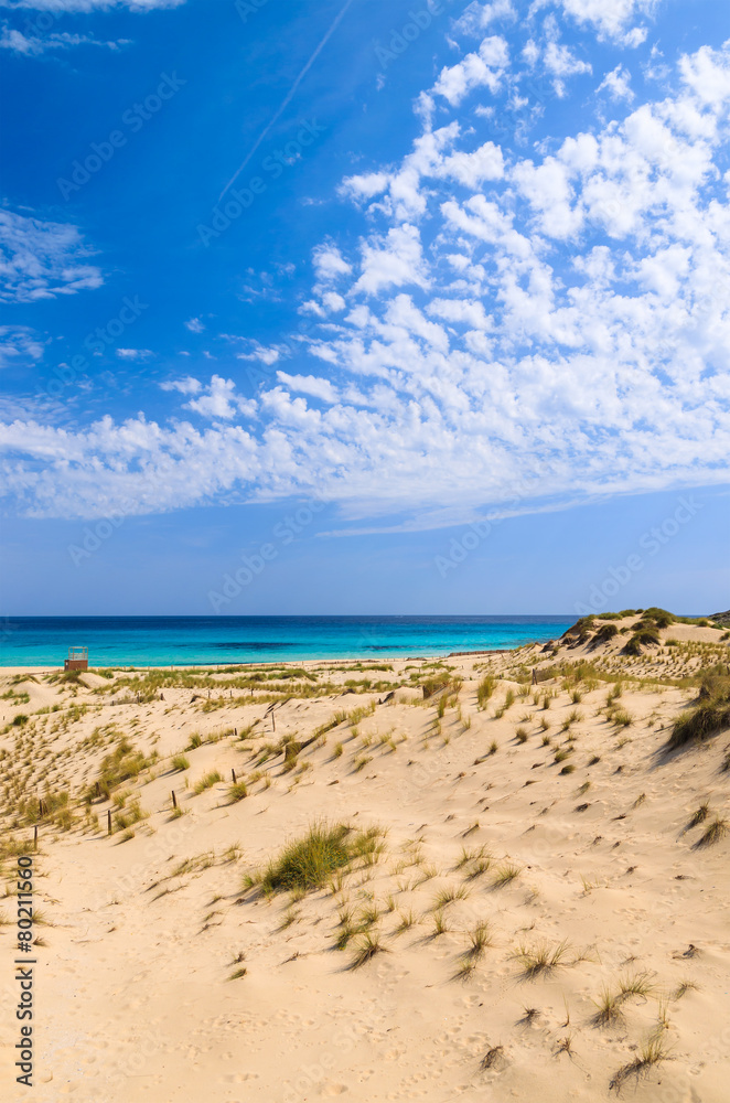 Sand dunes on Cala Sa Mesquida beach, Majorca island, Spain Sand dunes on Cala Sa Mesquida beach, Majorca island, Spain