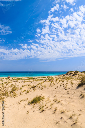 Sand dunes on Cala Sa Mesquida beach, Majorca island, Spain