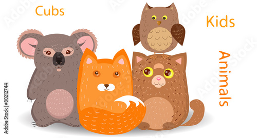Cubs foxes, cats, koalas, owls