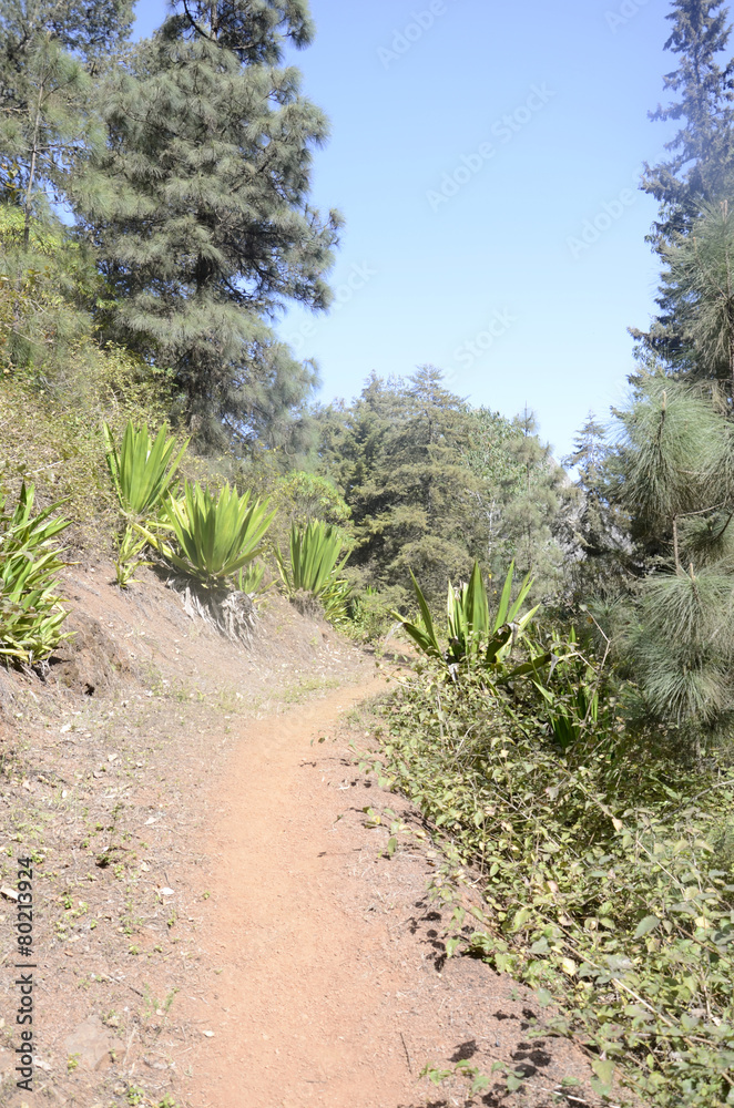 Monte Gordo (Sao Nicolau) Monte Gordo (Sao Nicolau)