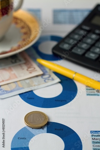 Euro coin placed on paper sheet with blue pie chart