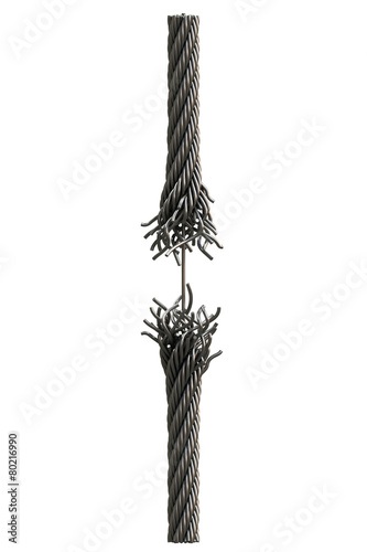 Canvastavla Steel rope