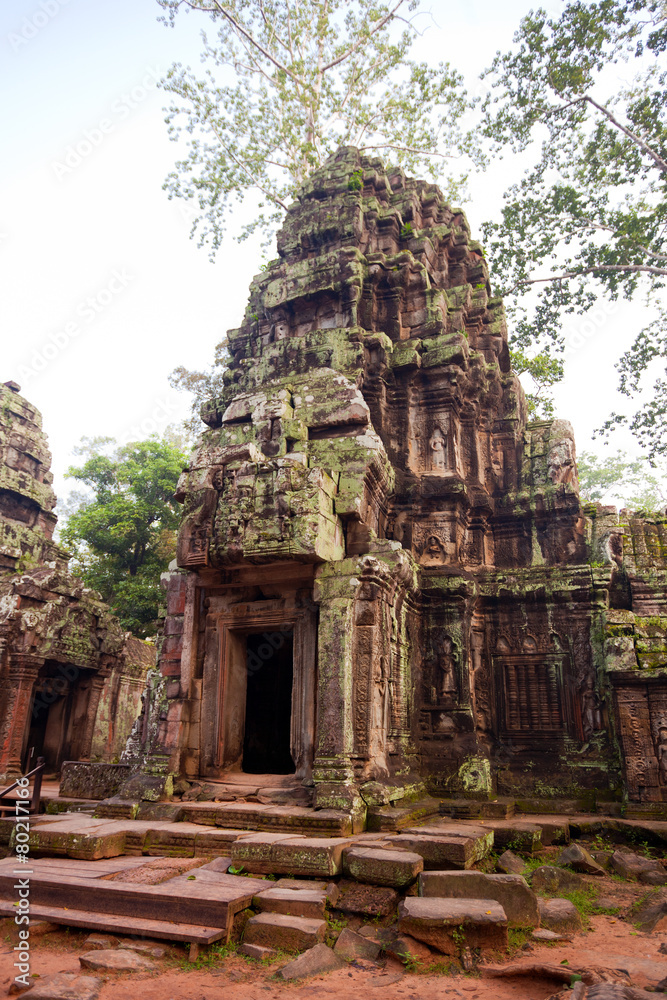 Naklejka premium Ta Prohm Temple, Angkor, Cambodia